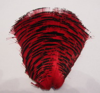 ������� �����  (���) golden pheasant tippet section  red  #2 
